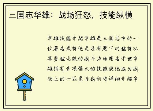 三国志华雄：战场狂怒，技能纵横